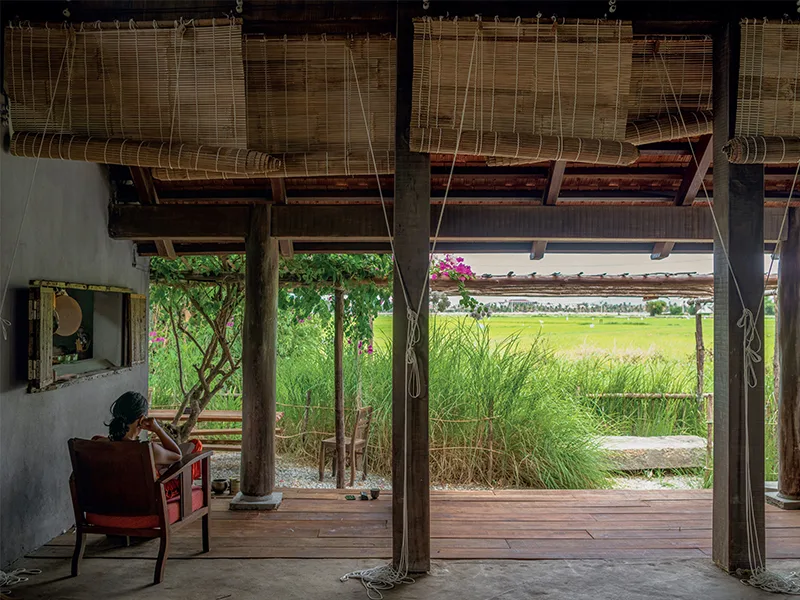 Thương nhớ đồng quê