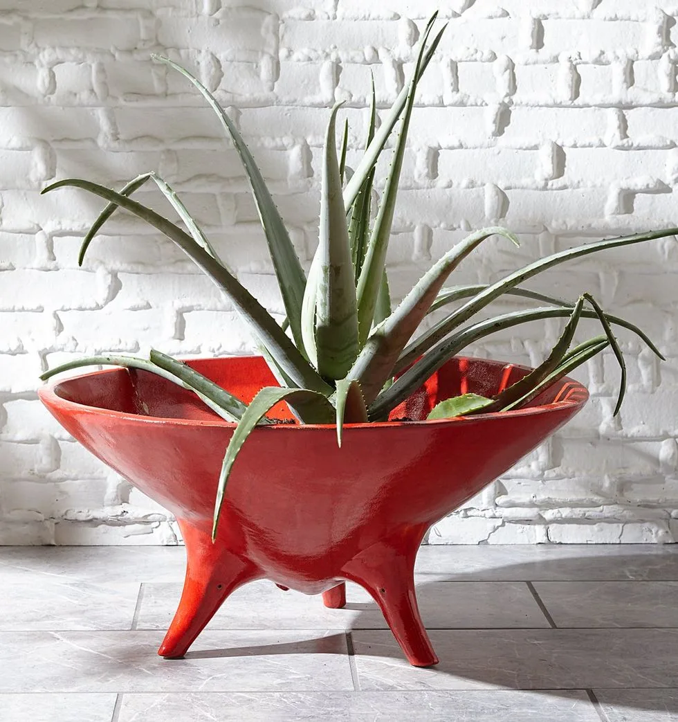 plant pot Okura Jonathan Adler