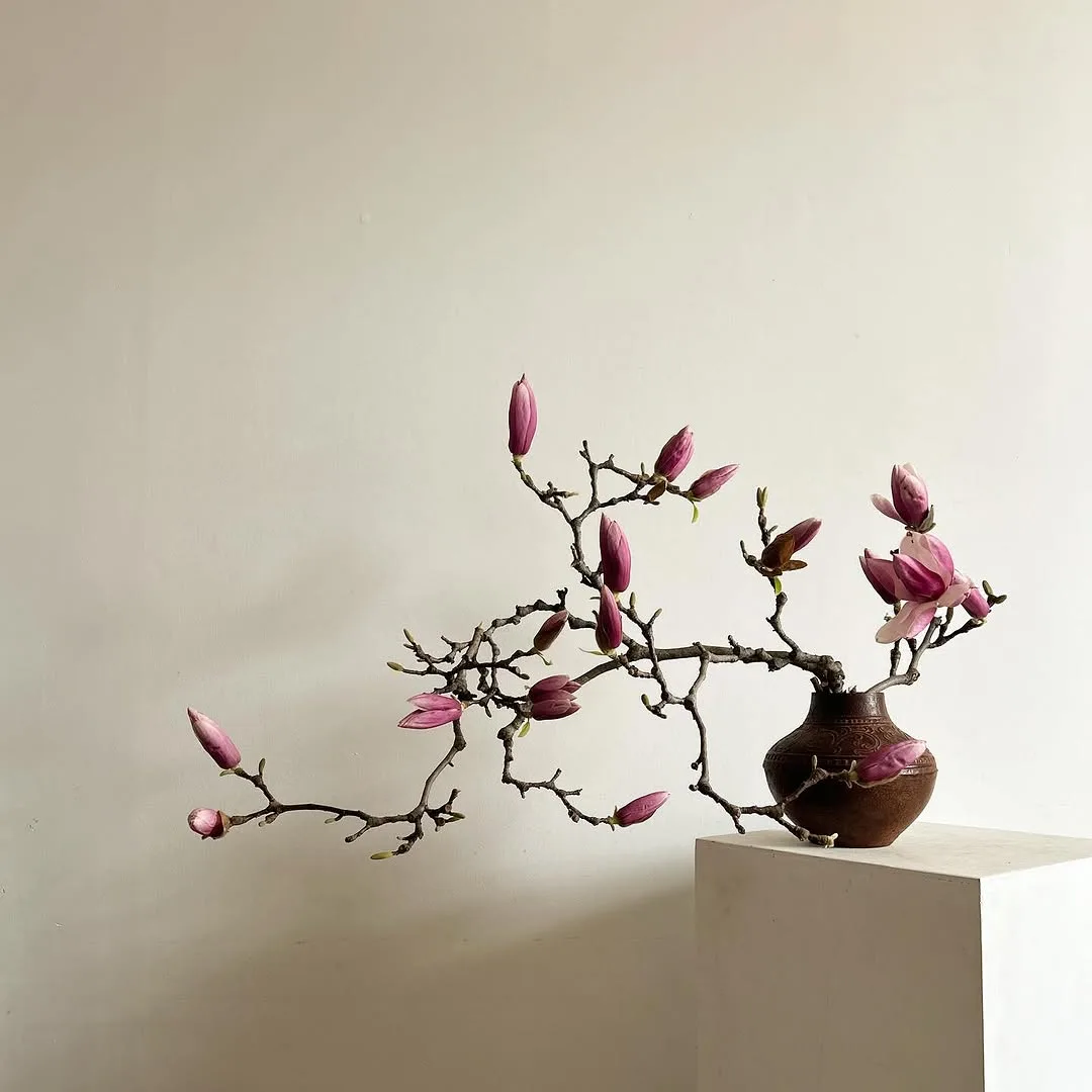 hoa moc lan magnolia ikebana