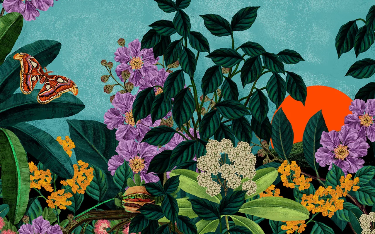 Lagerstroemia speciosa