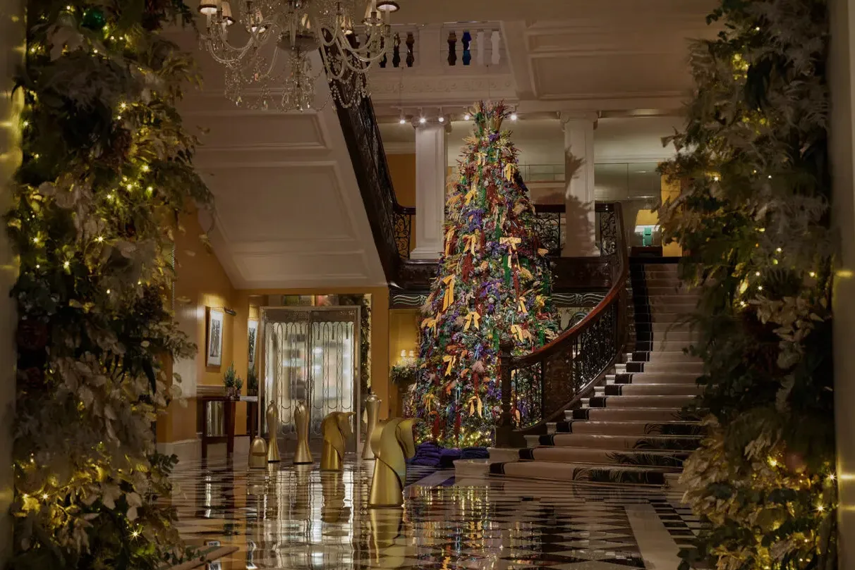 cay thong christmas tree