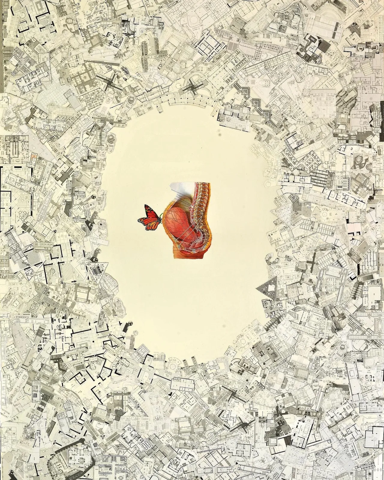 tac pham collage mzung nguyen