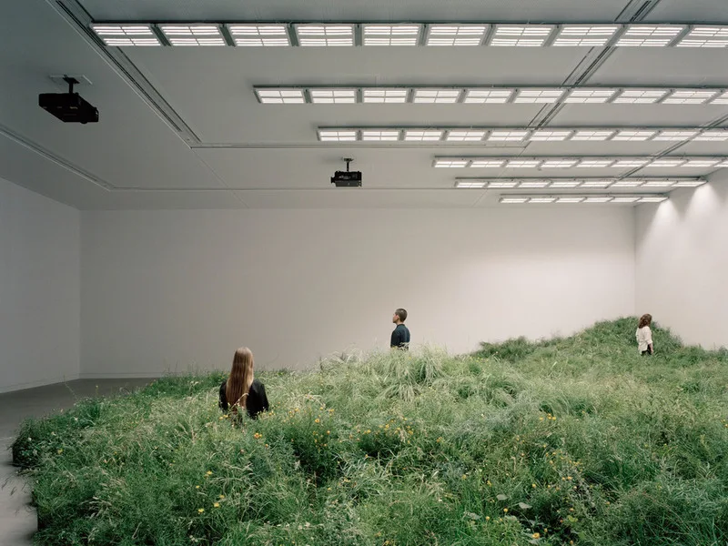 'Grasslands Repair' làm sống dậy đồng cỏ châu Úc trong triển lãm Venice Architecture Biennale 2018