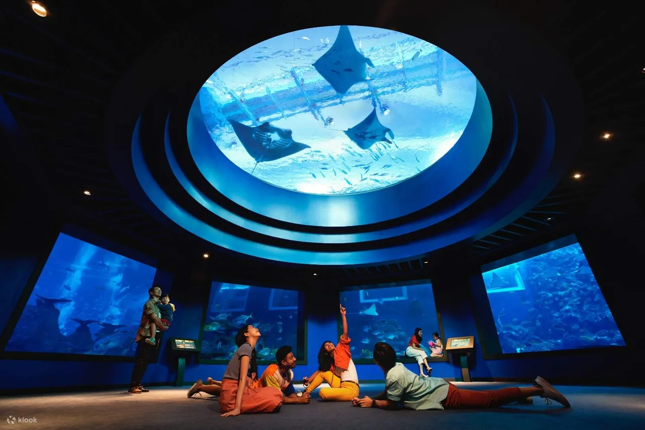 sea singapore aquarium du lich