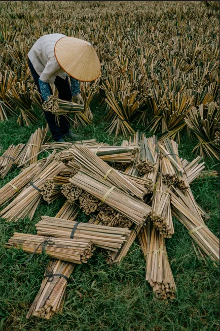 quang phu cau ha noi