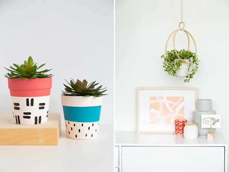 Chậu cây và 4 giải pháp biến tấu dễ dàng