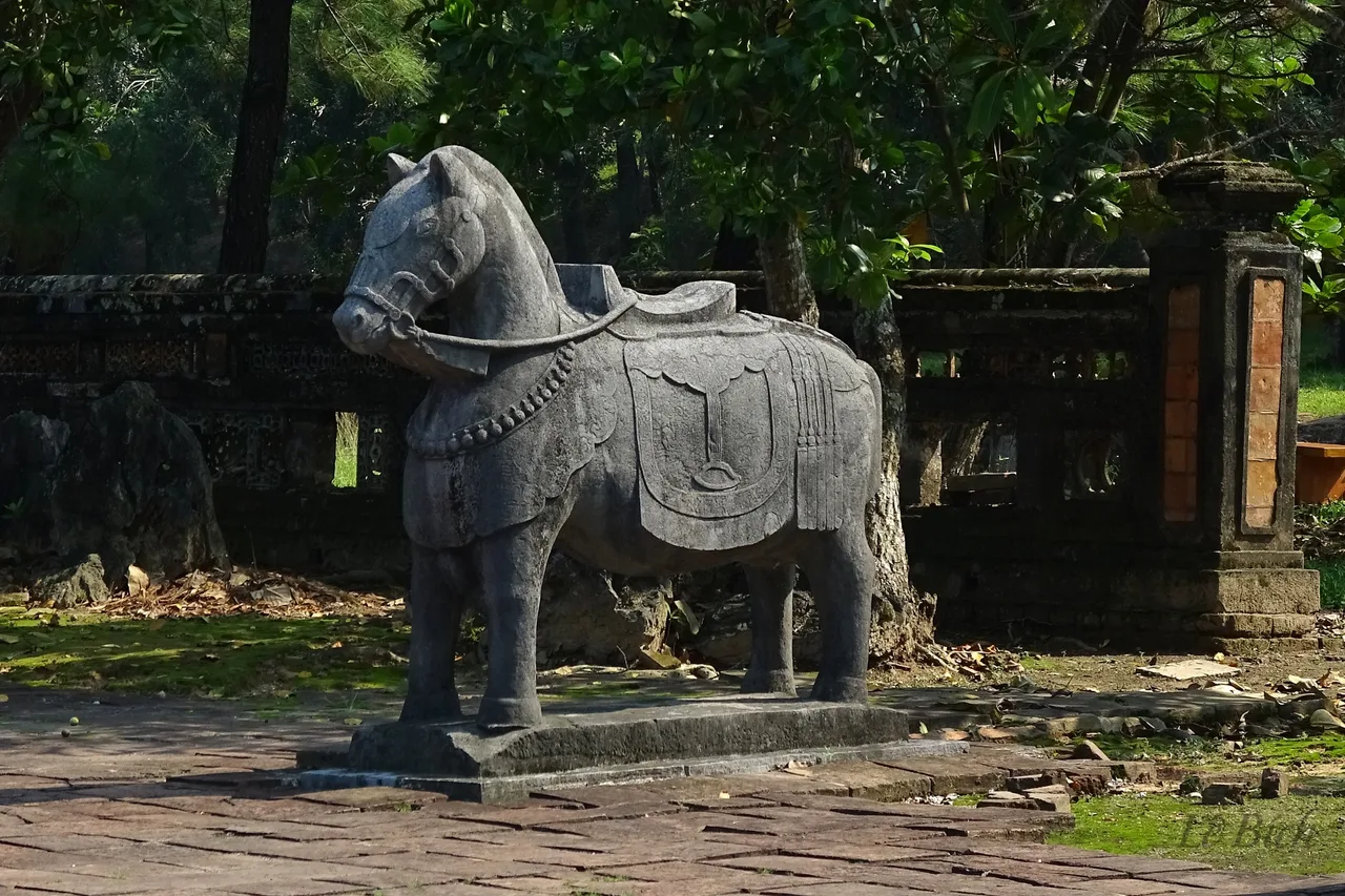 tuong ngua da lang thieu tri