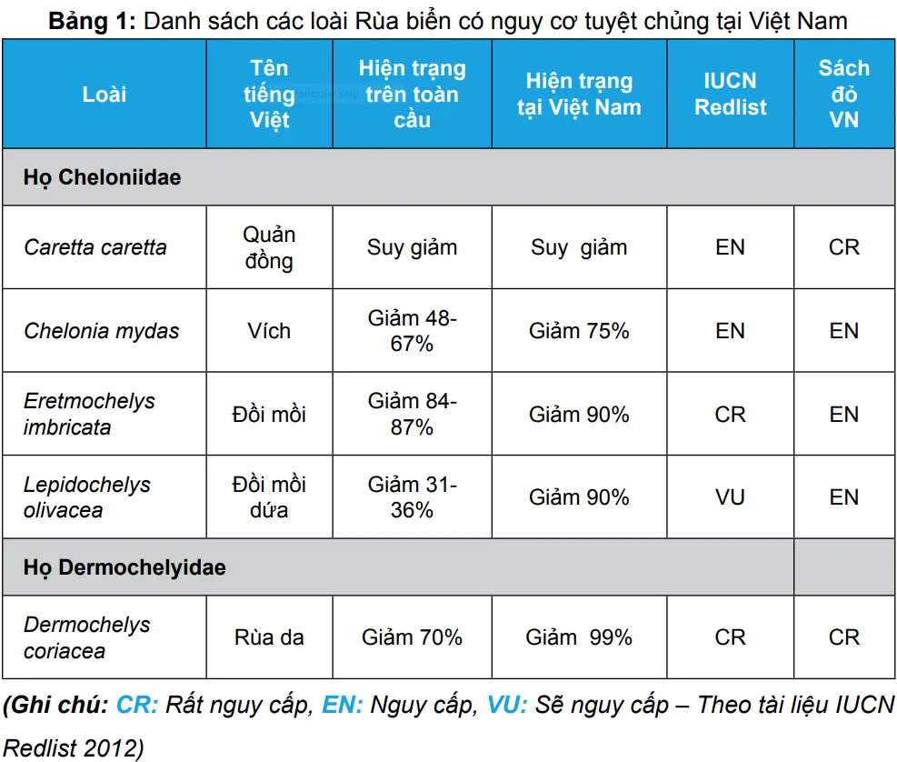 rua bien con dao dai duong phat trien ben vung