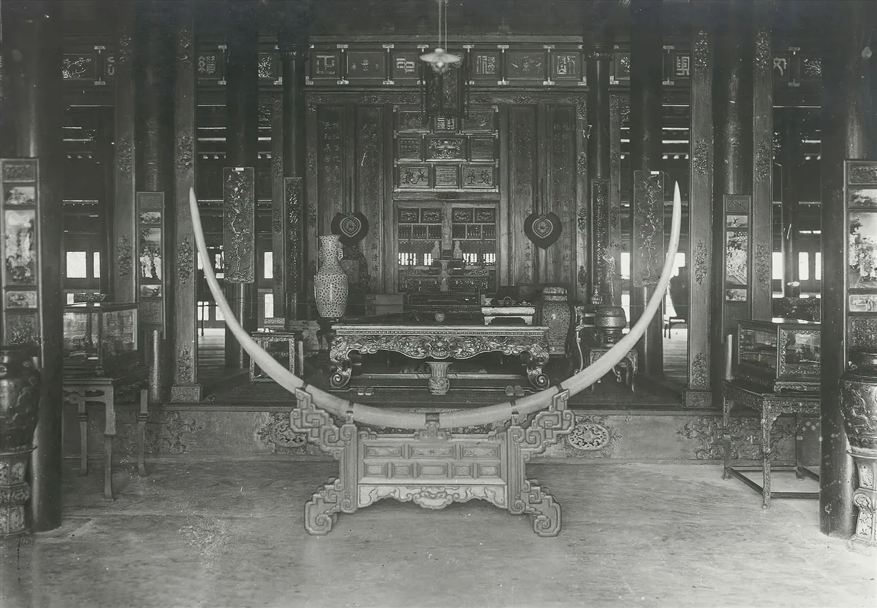 bao tang cung dinh hue dien long an trieu nguyen