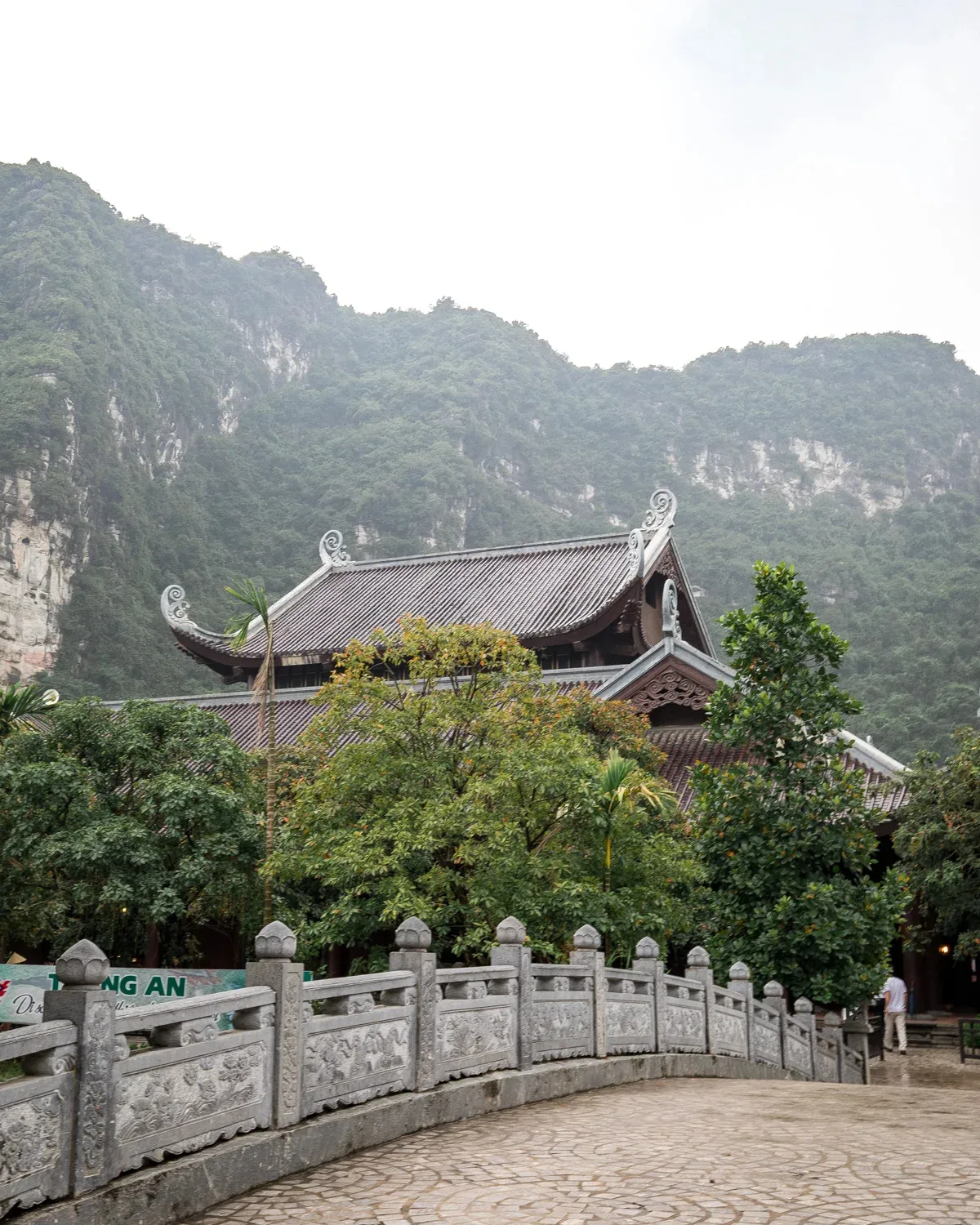 co do ninh binh