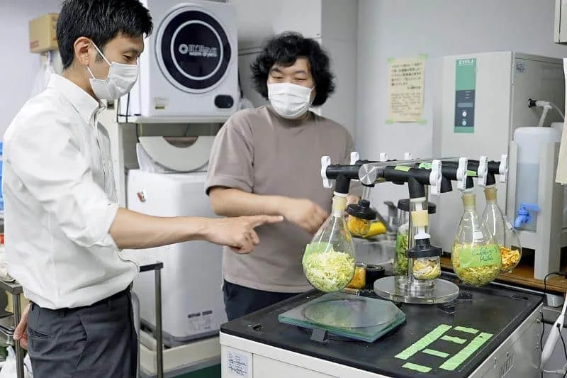 xi mang edible cement Kota Machida Yuya Sakai tokyo university