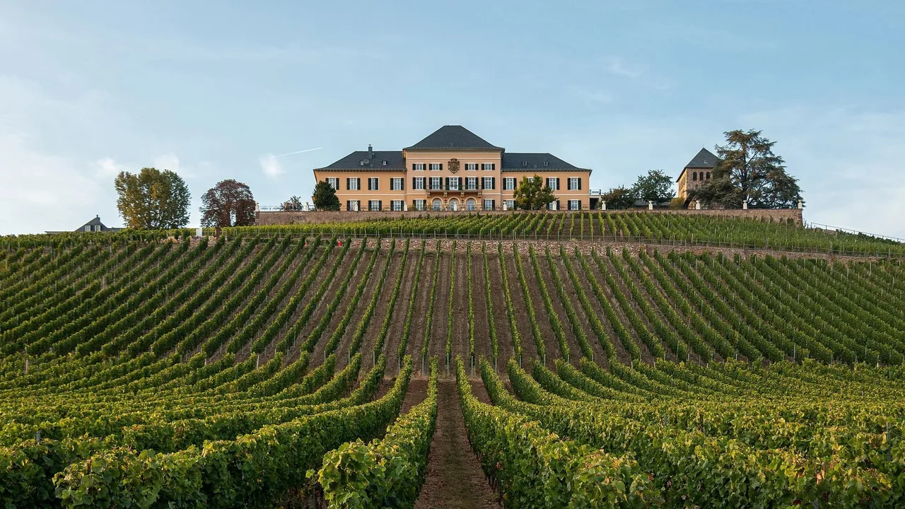 Schloss Johannisburg riesling germany wine