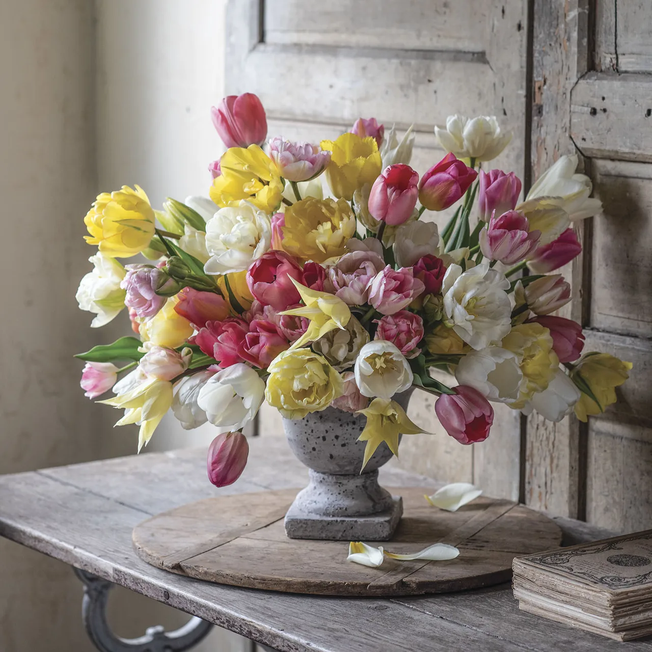cam hoa nghe thuat tulip