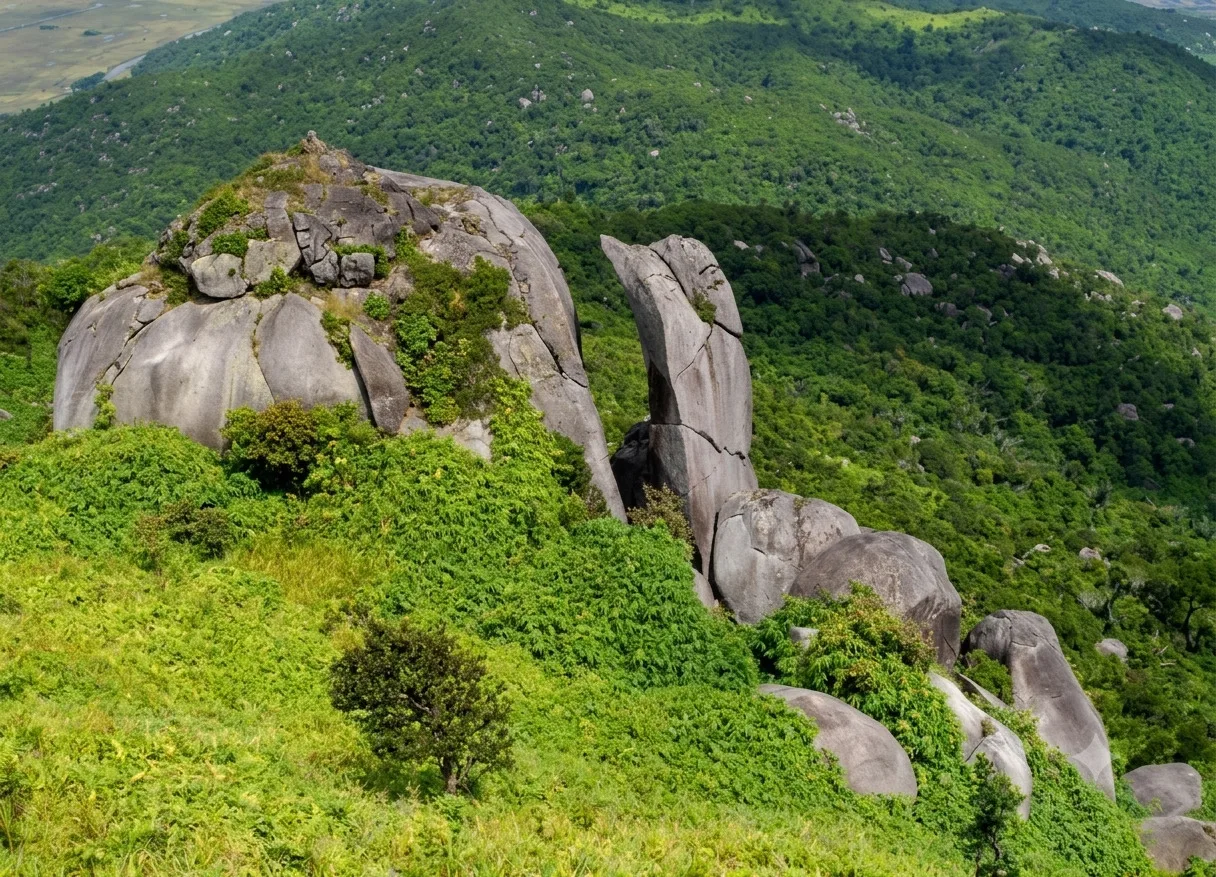 viet nam dak lak phu yen kien giang quang ninh ngu hanh son