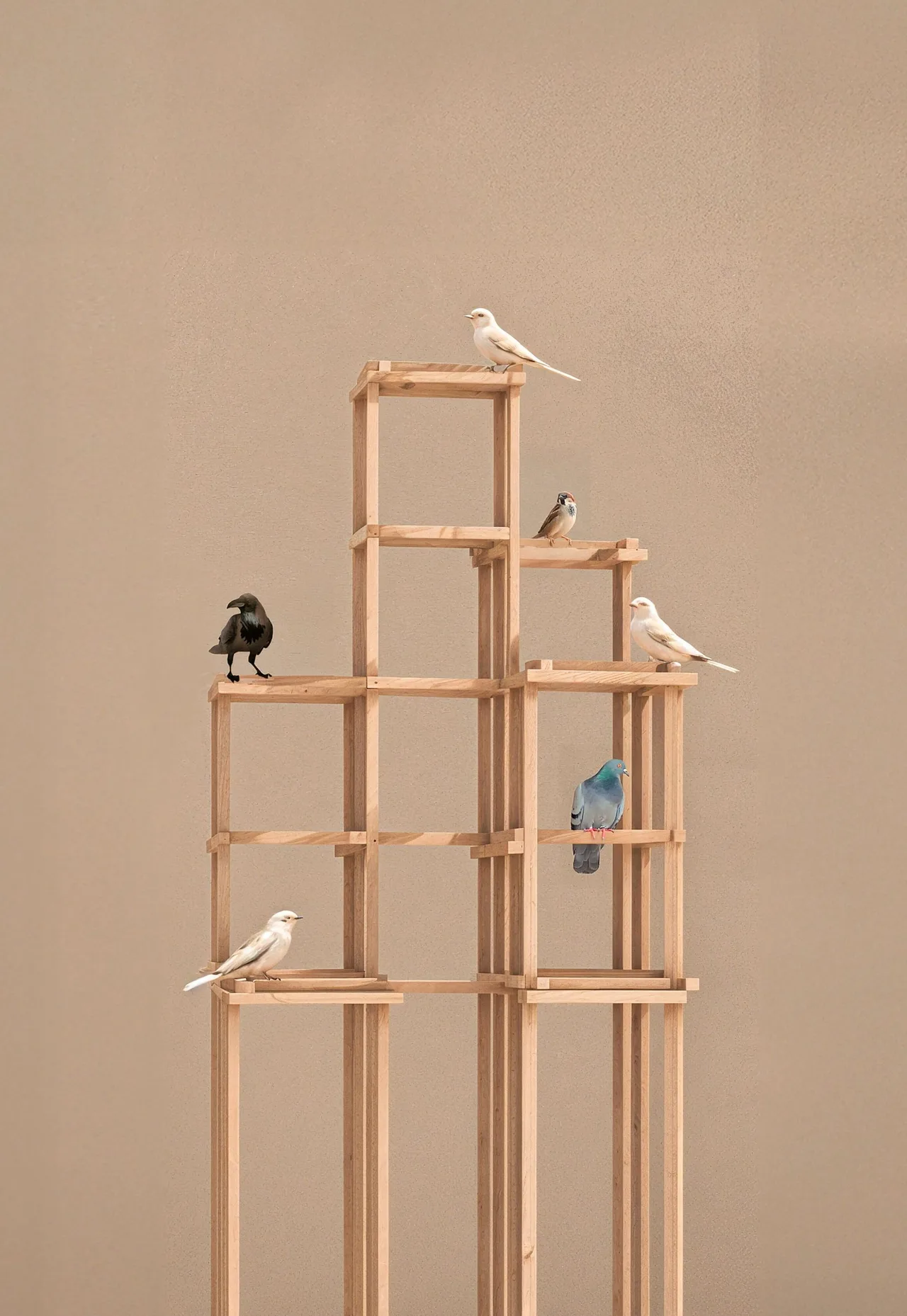 bird station firda escobedo kien truc architects for birds