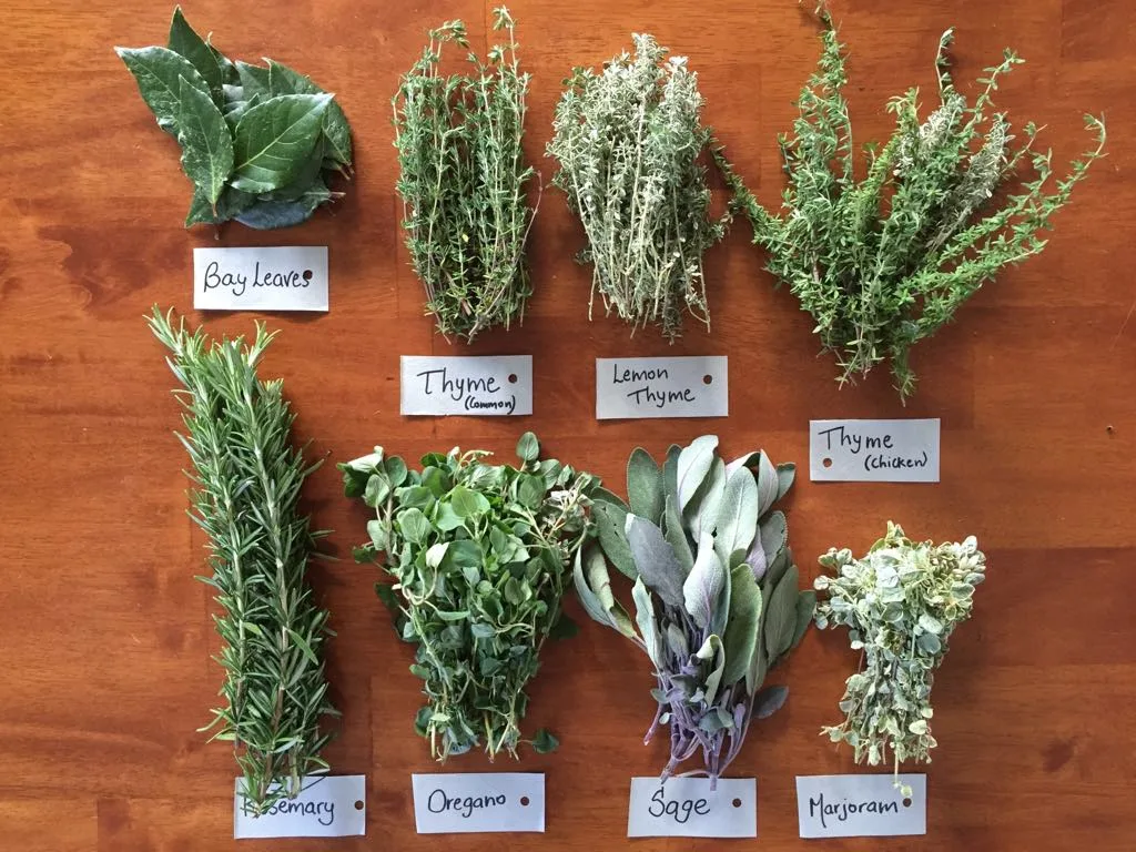 phoi kho bao quan fresh herb dry herb