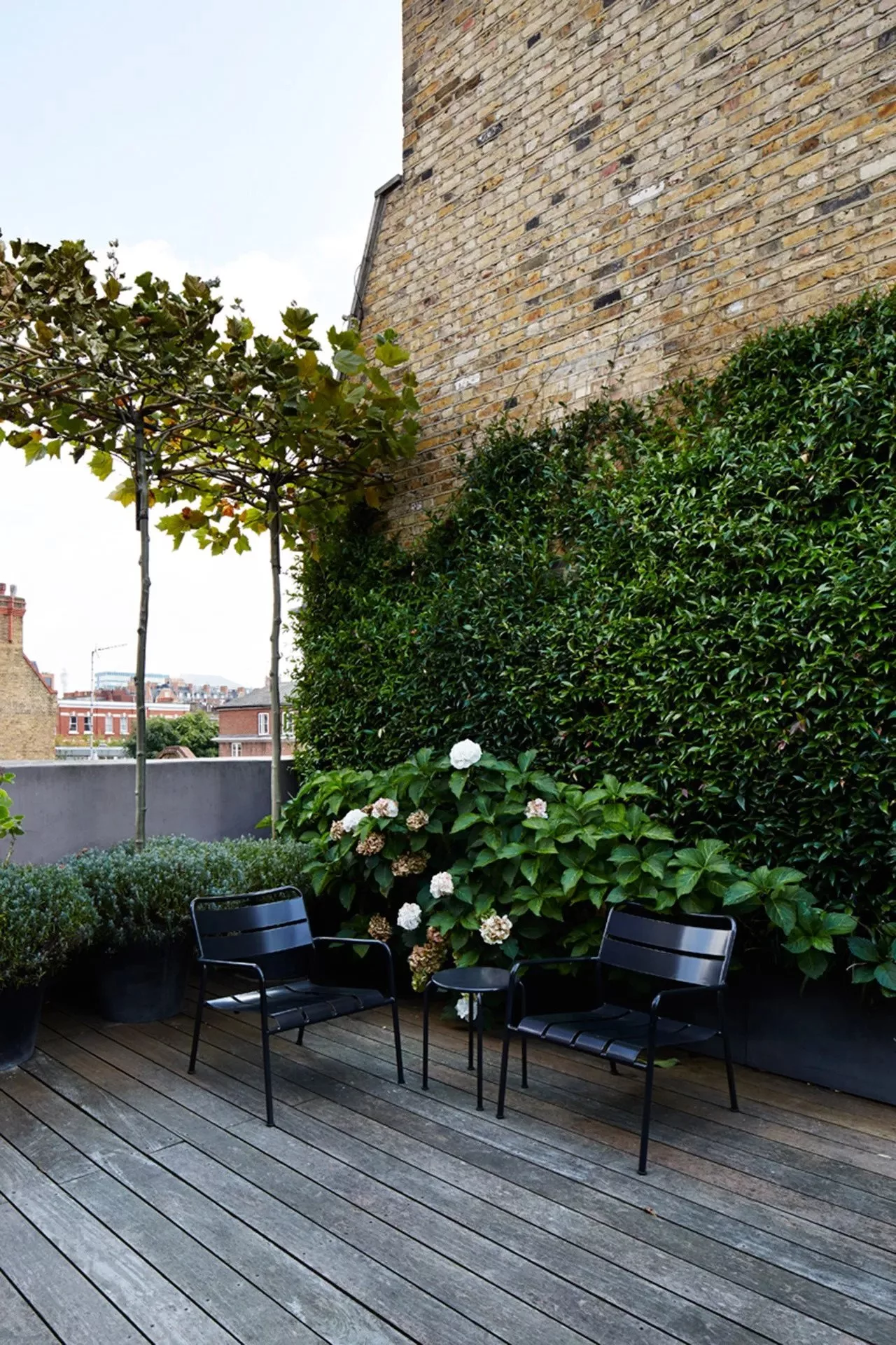 garden rooftoptrang tri ngoai that cay leo
