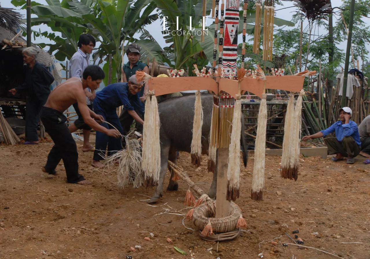 hoa van truyen thong nguoi cadong quang nam trang tri cay neu