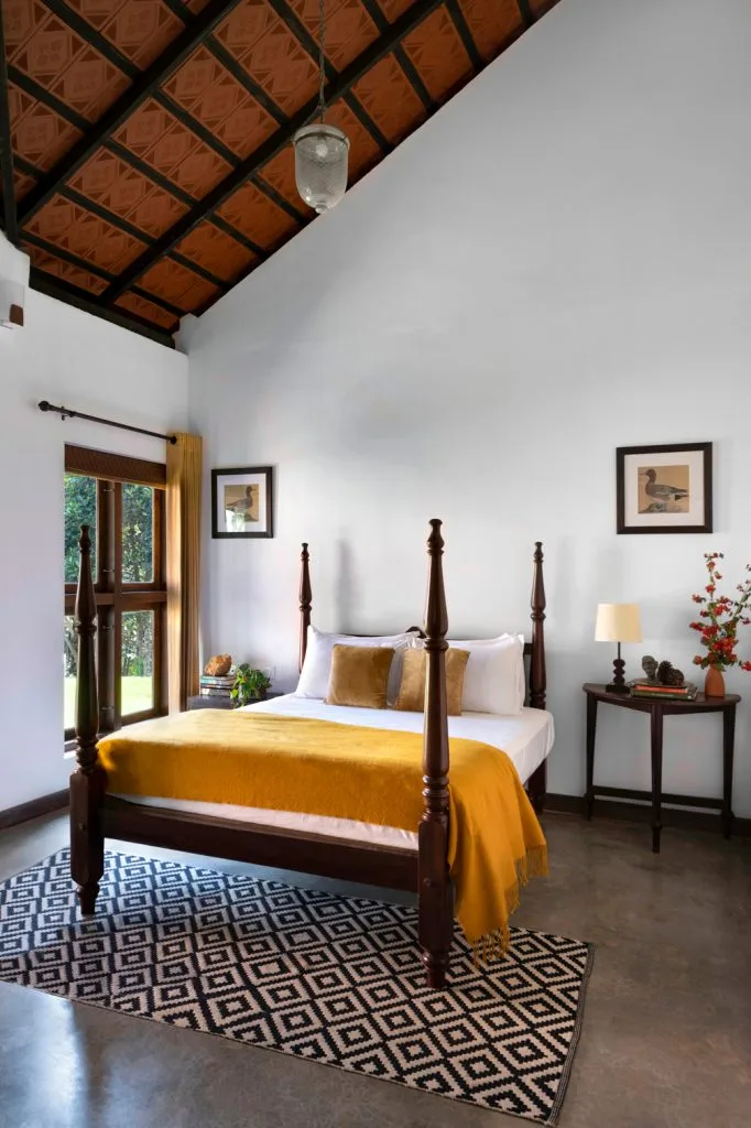India 8
