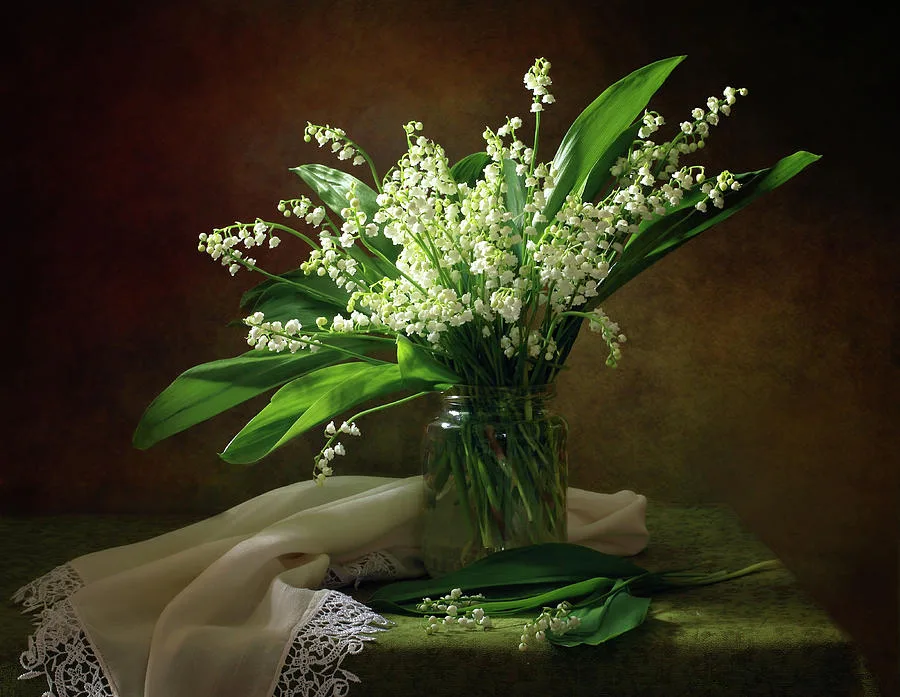 hoa linh lan Lily of the Valley Convallaria majalis return to happiness Our Lady’s Tears Victoire de Castellane Christian Dior
