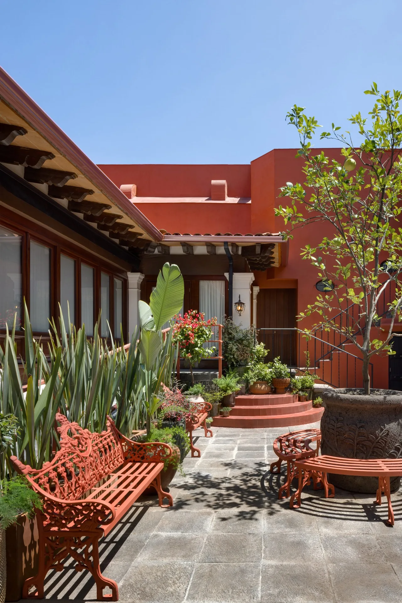 bao tang Museo Casa Kahlo Mexico City Frida Kahlo Mariana Doet Zepeda Orozco