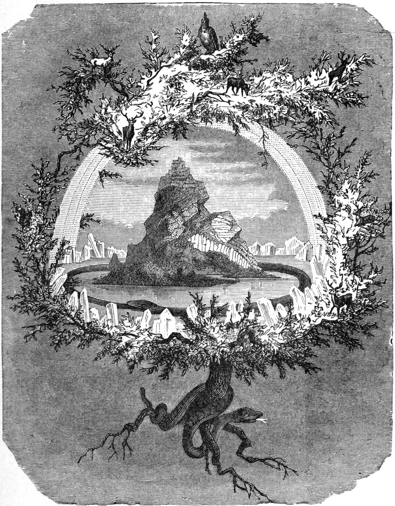 than thoai bac au odin thor loki hoa tiet nut that knots Albrecht Dürer