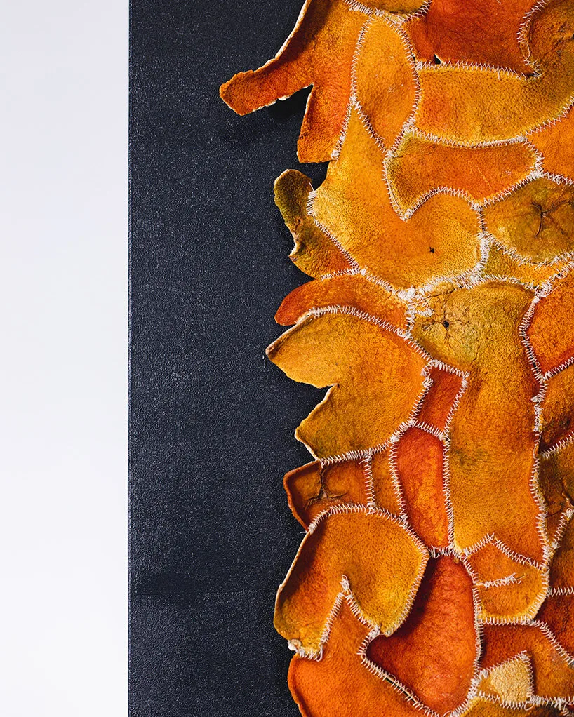 vo cam recycle citrus waste Alkesh Parmar Studio Arp Citrus Sinensis Material Matters