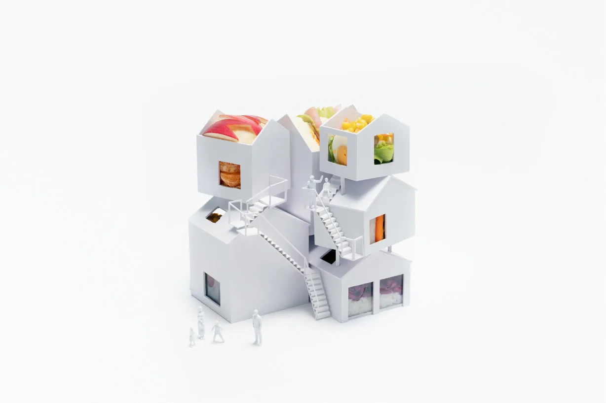 kien truc Sou Fujimoto hop bento