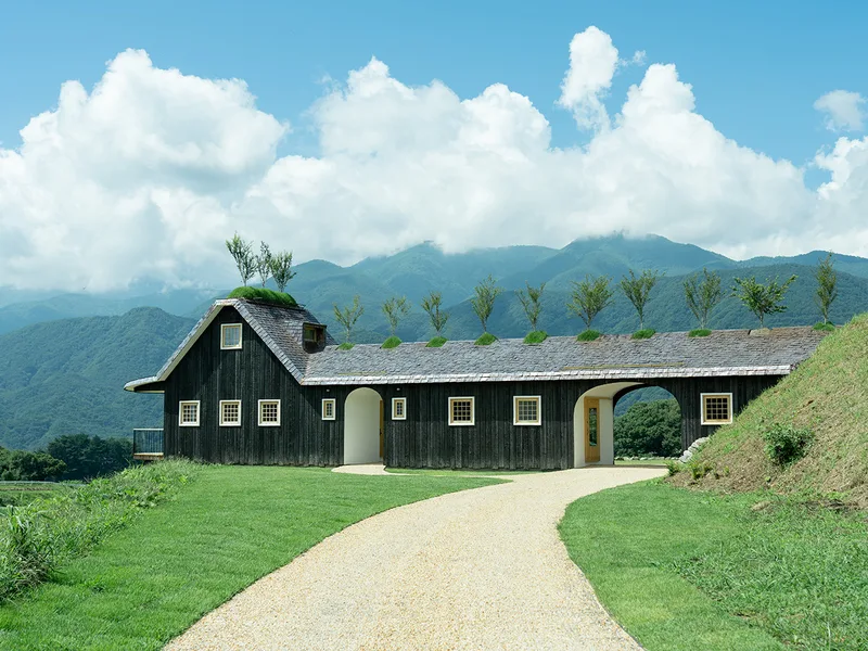 Nhà khách Kodomari Fuji: Dưới hàng cây anh đào