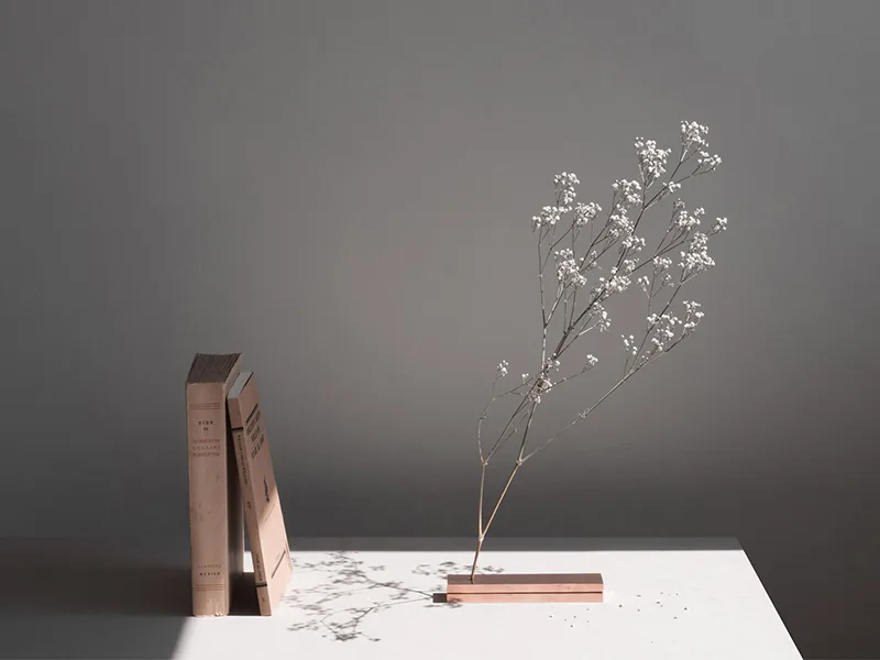 No Vase - Cắm hoa không bình