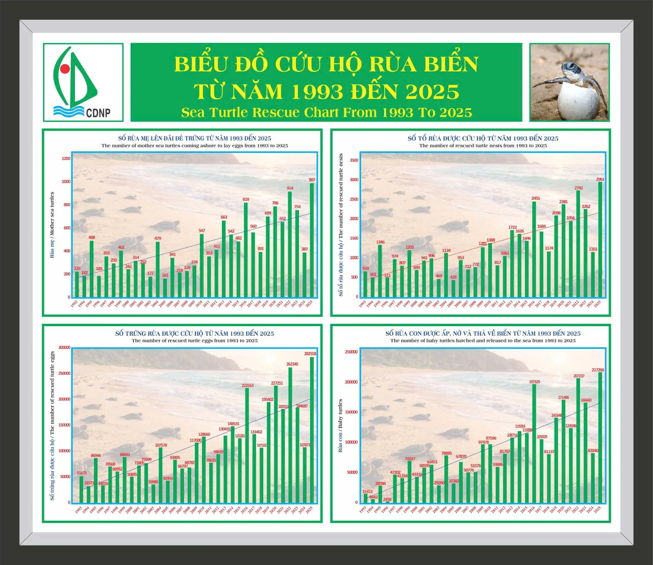 bao ton rua bien con dao dai duong phat trien ben vung
