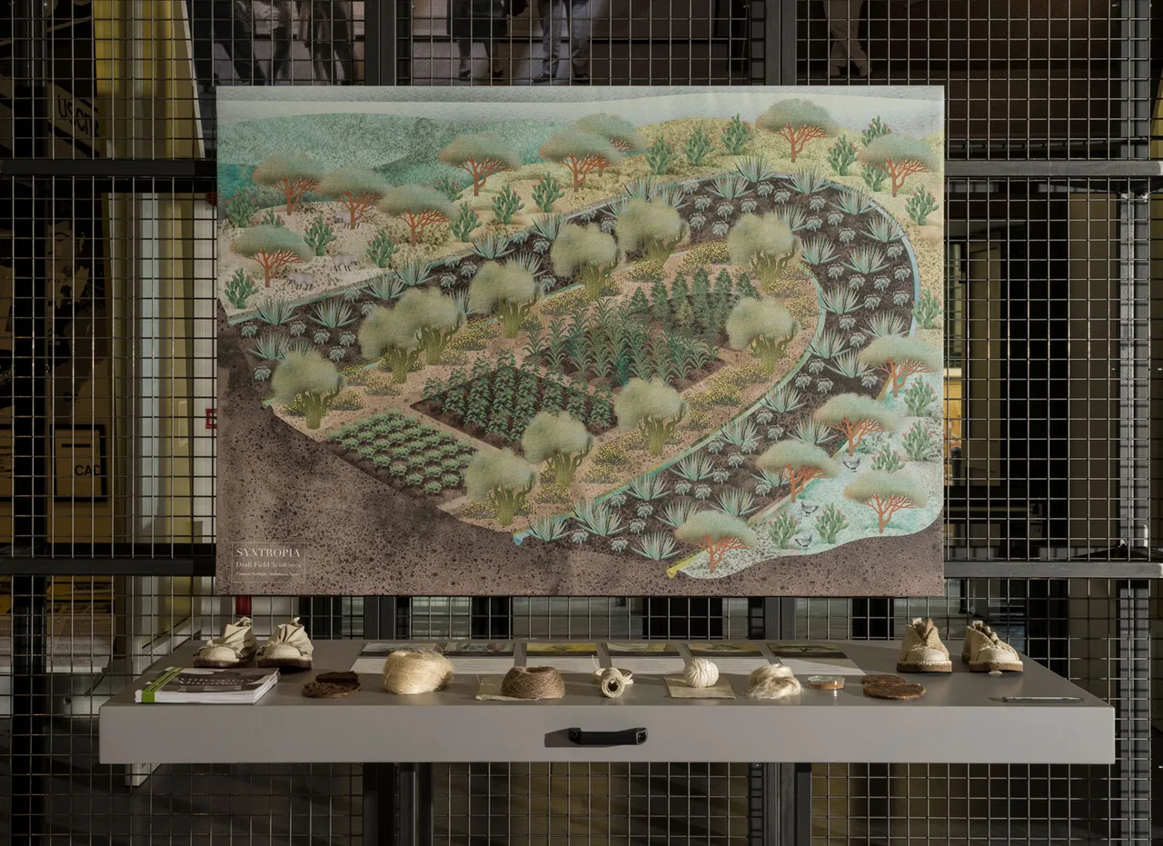 Thiet ke Italy-A new collective landscape angela rui giam tuyen
