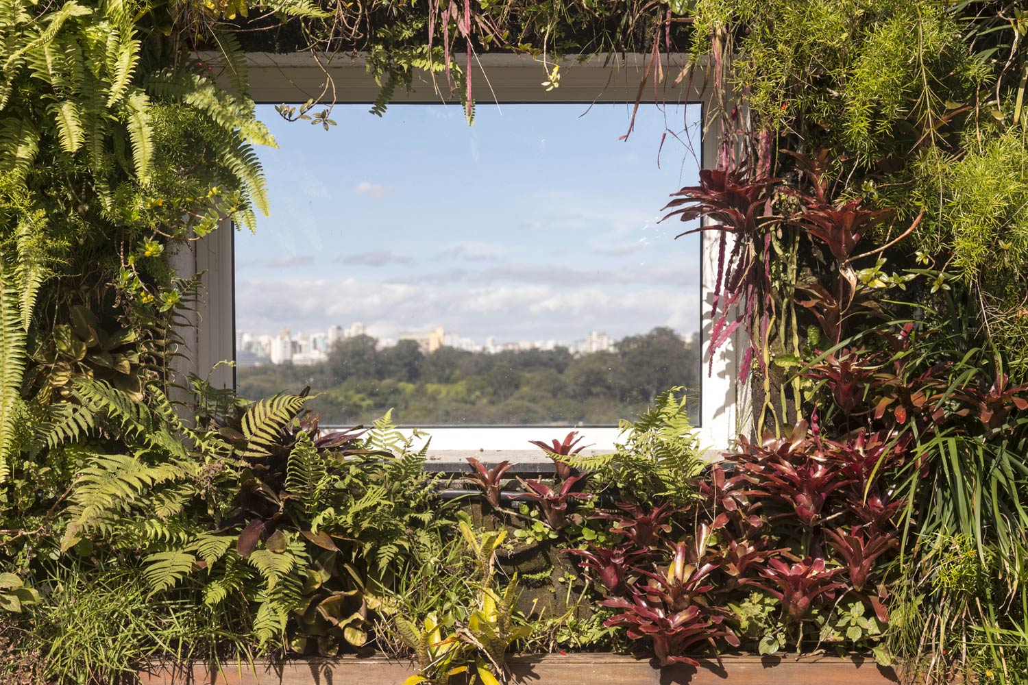 thuc vat trong cay lam vuon Jardim Paulistano Penthouse