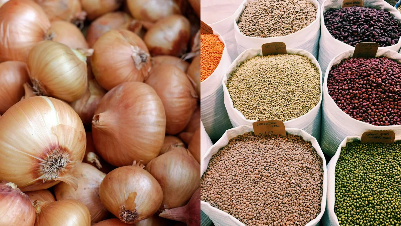 ki thuat trong rau cu qua hanh tay dau onions beans