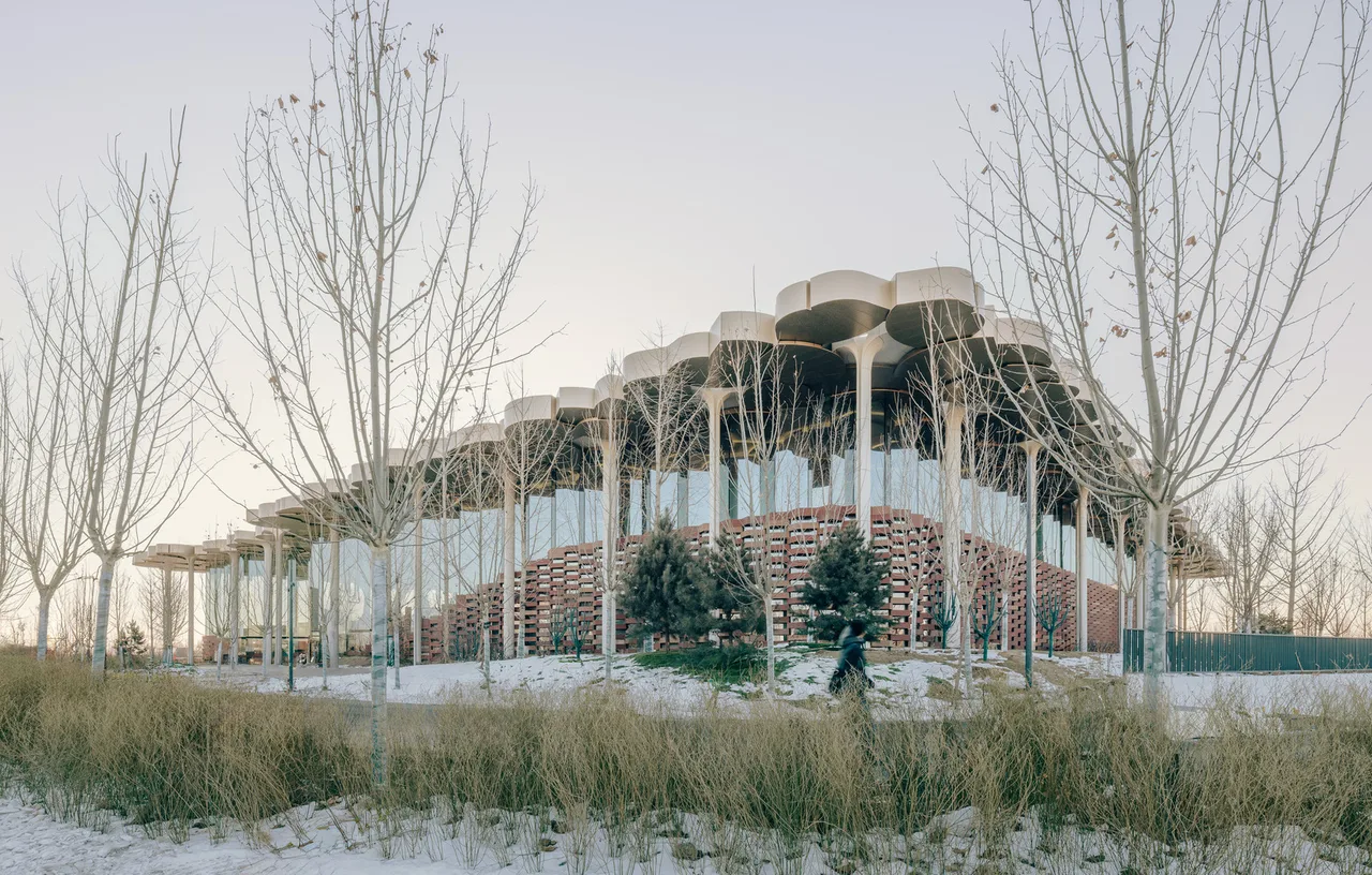 beijing library Snøhetta ECADI