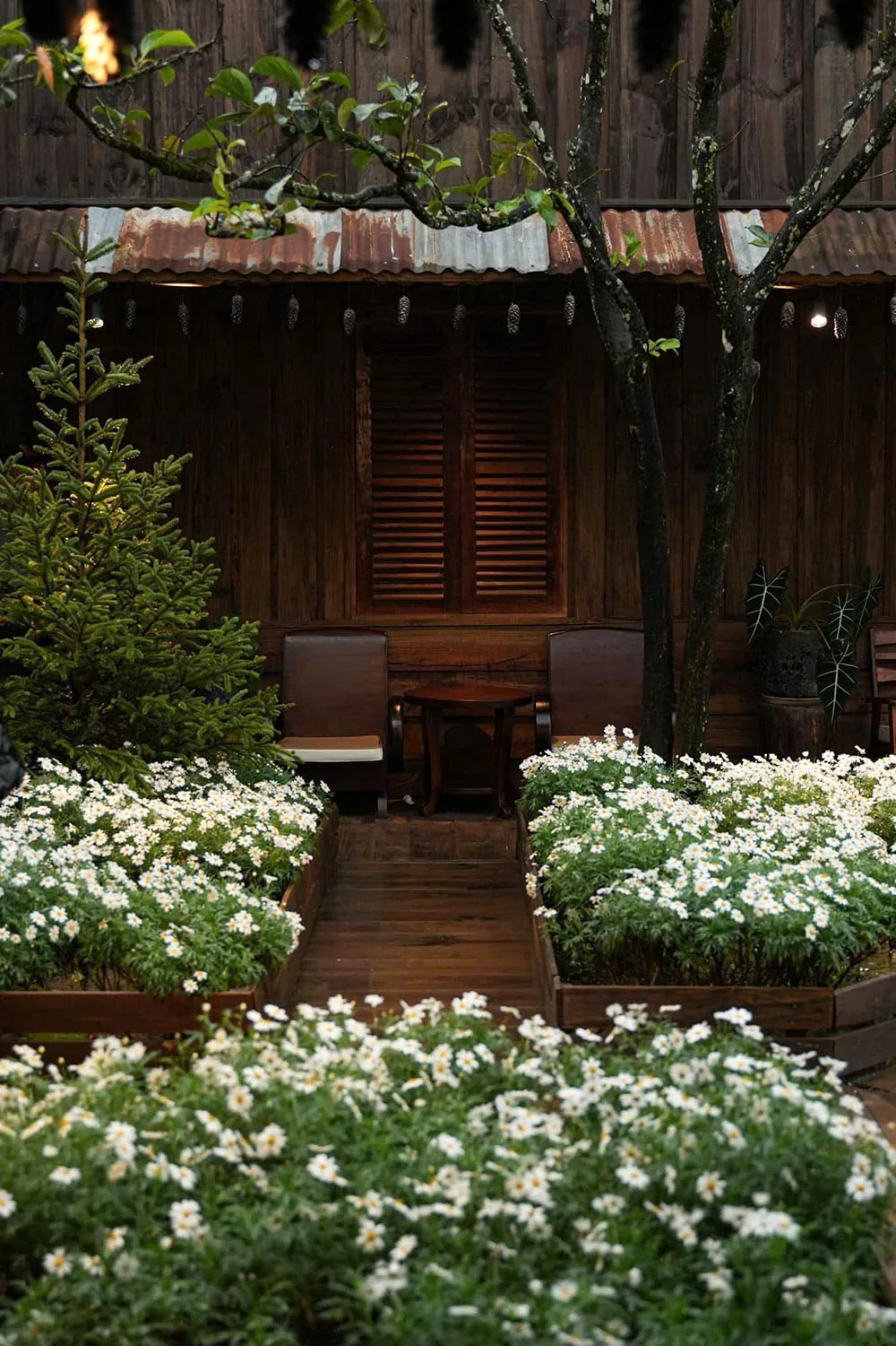 Dia diem hen ho quan cafe binh minh oi