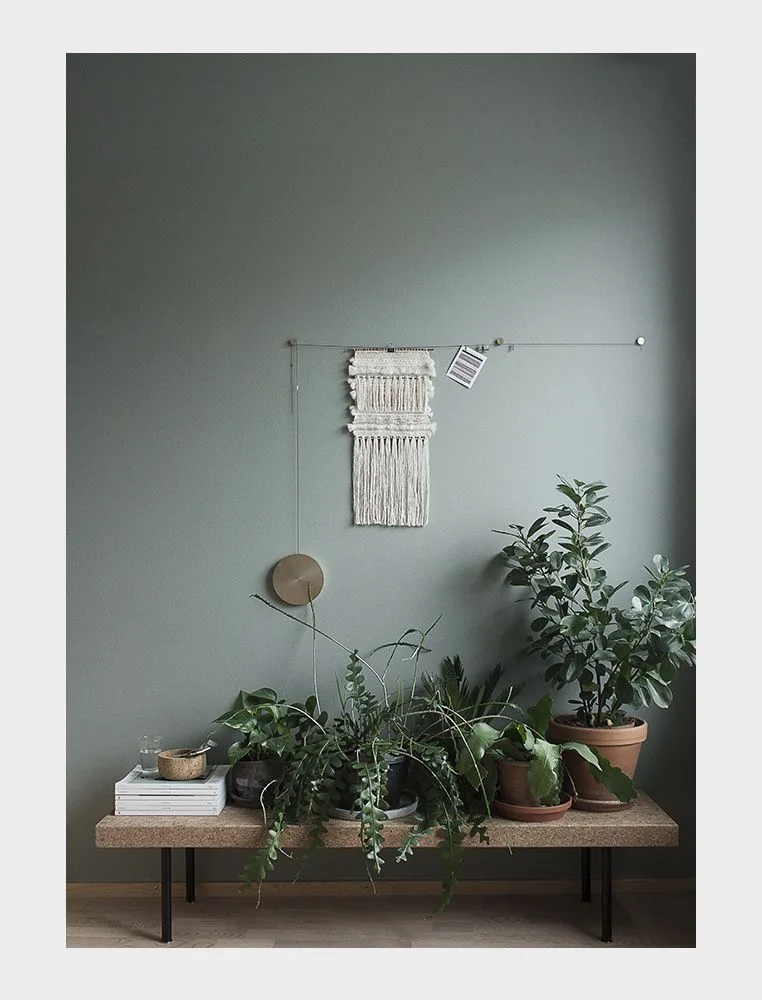 cây cảnh trong nhà-ốc đảo xanh elledecoration vn 1