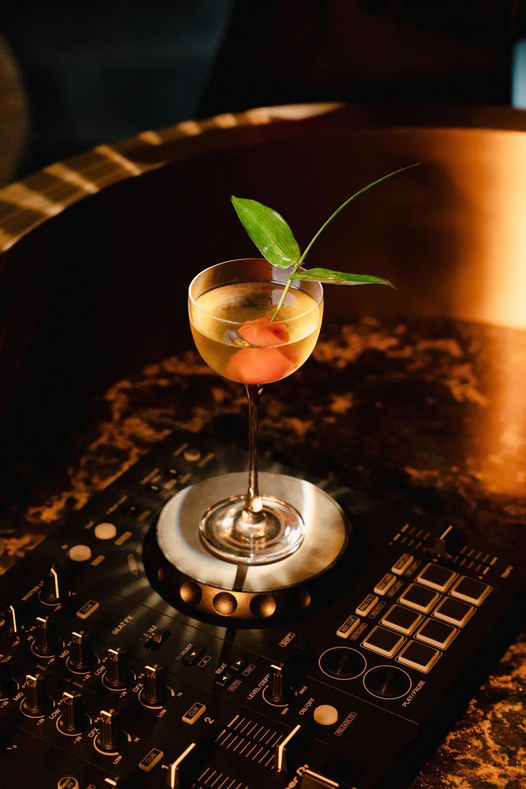 pisco hana nguyen huu phu bartender cocktail fusion