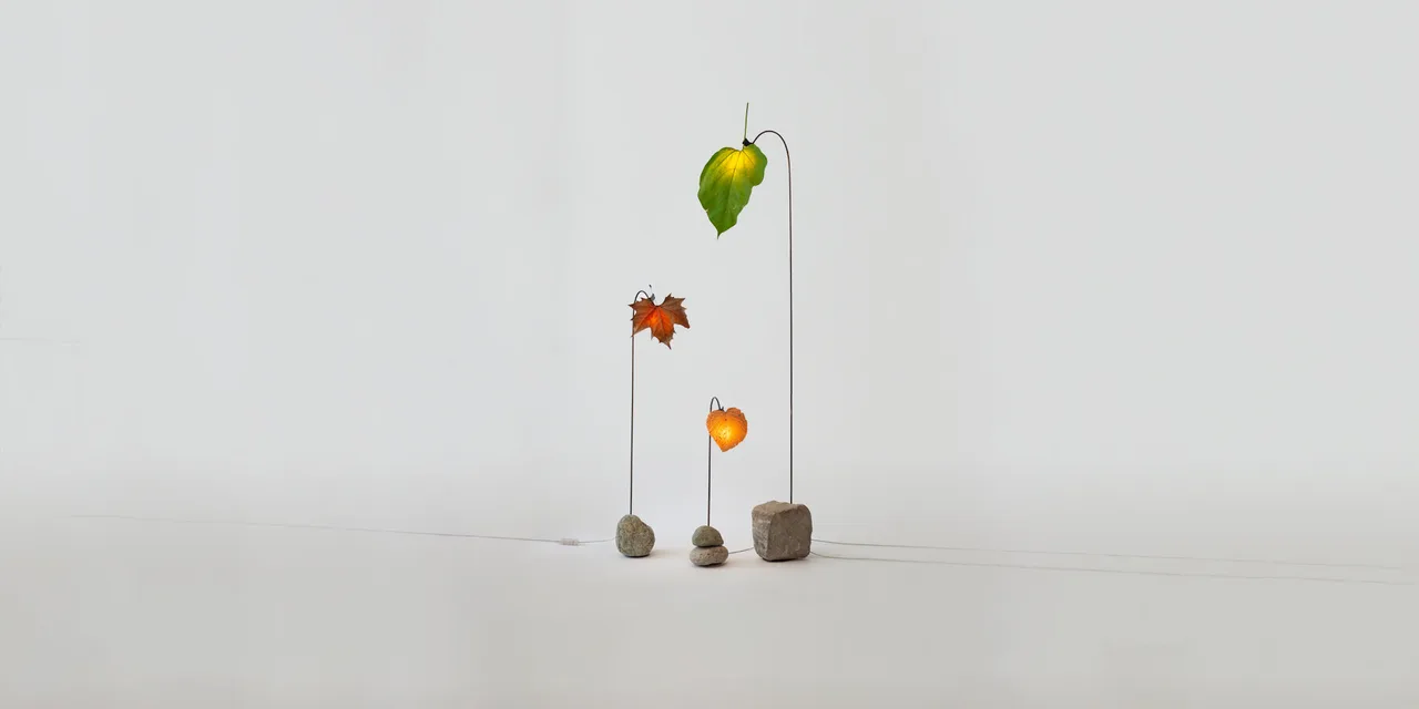 anh sang grandpa lamp thomas takada