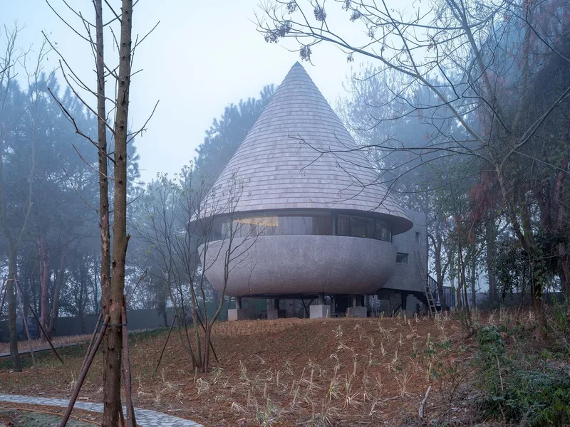 The Mushroom: Nhà gỗ ẩn mình giữa rừng thông