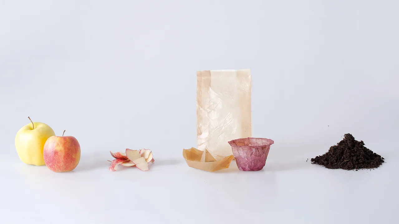 bao bì sản phẩm 1