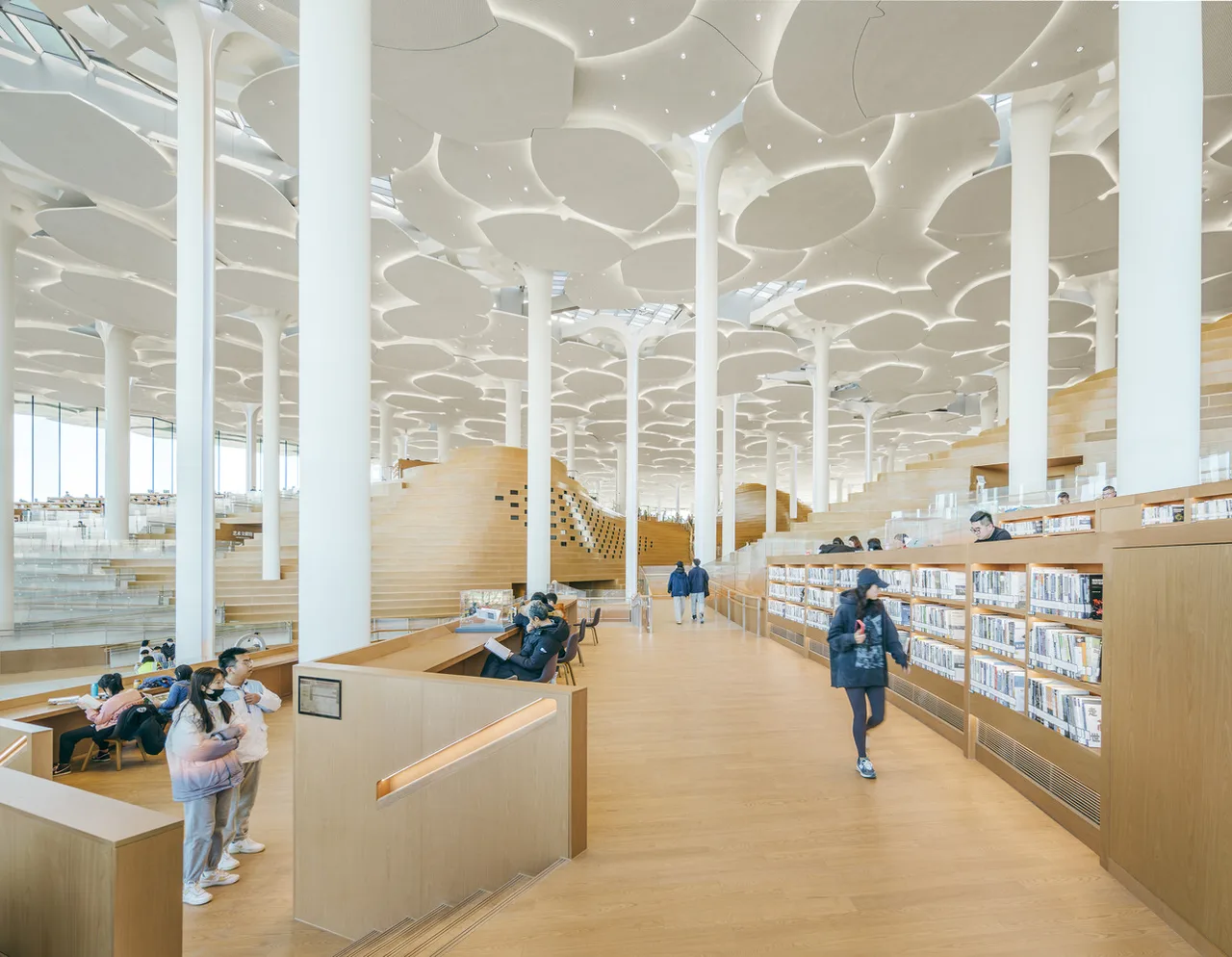 beijing library Snøhetta ECADI