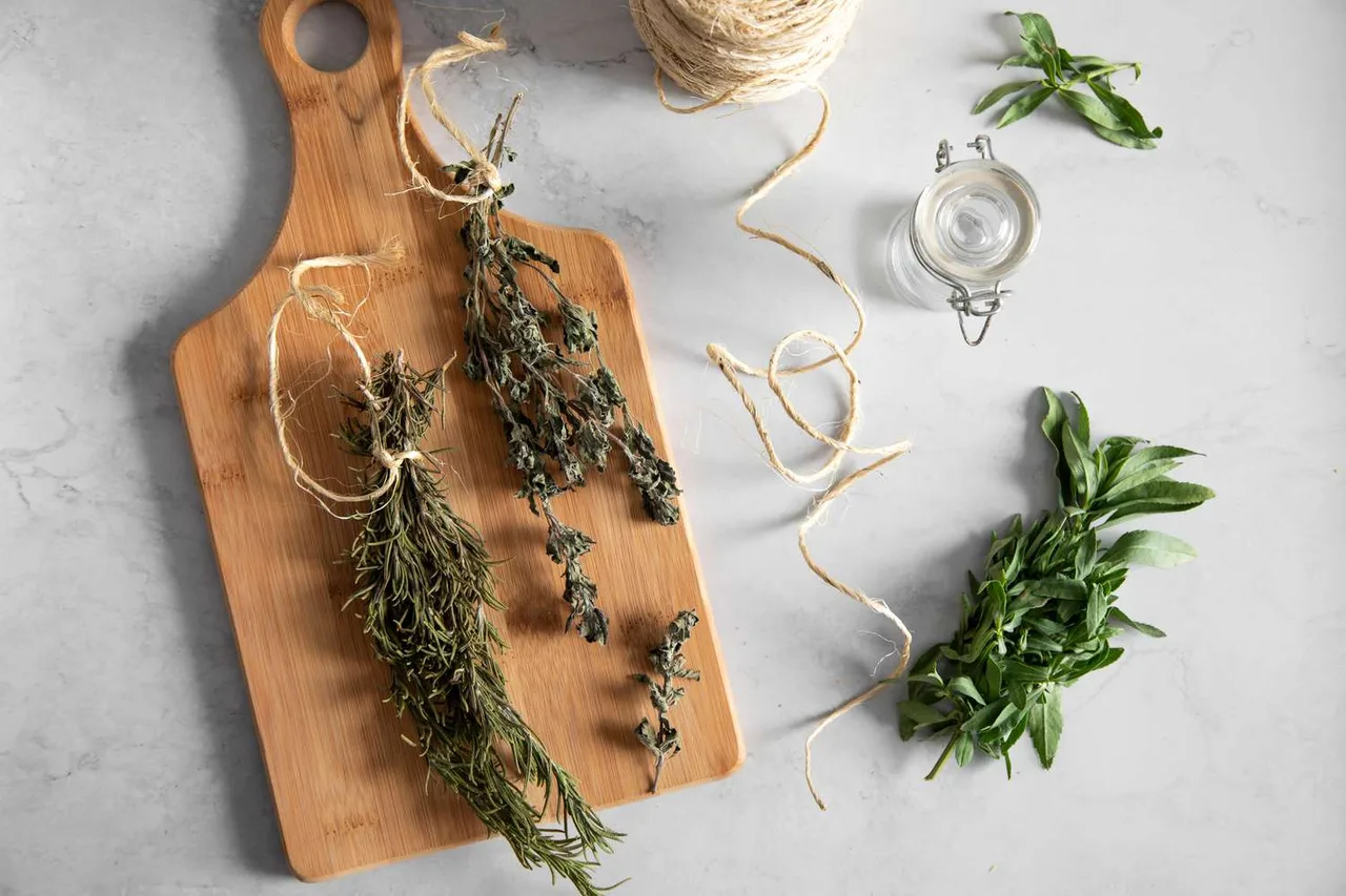 phoi kho bao quan fresh herb dry herb