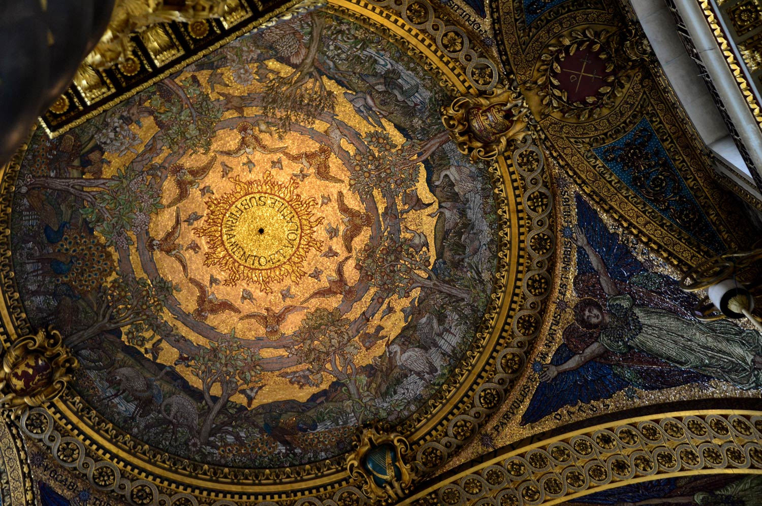 Vòm trần ở nhà thờ St.Paul 1