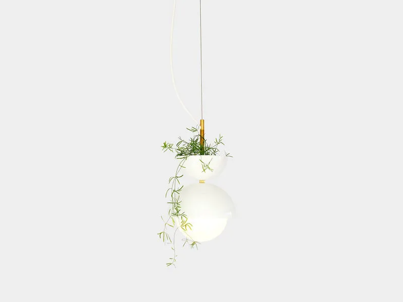 Đèn treo kết hợp chậu cảnh từ Ryan Taylor cho Object/Interface