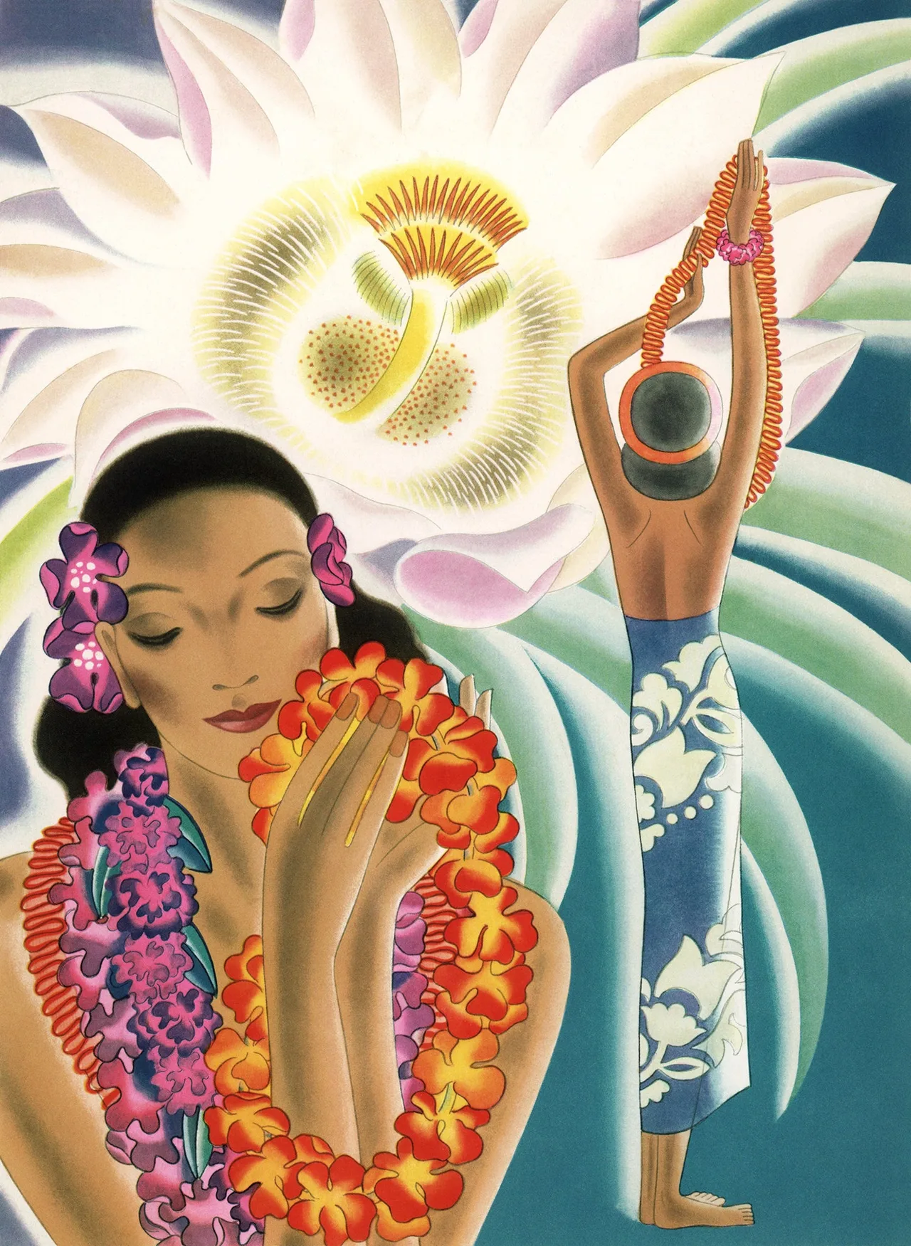 hawaii hoa quynh hoa tiet minh hoa