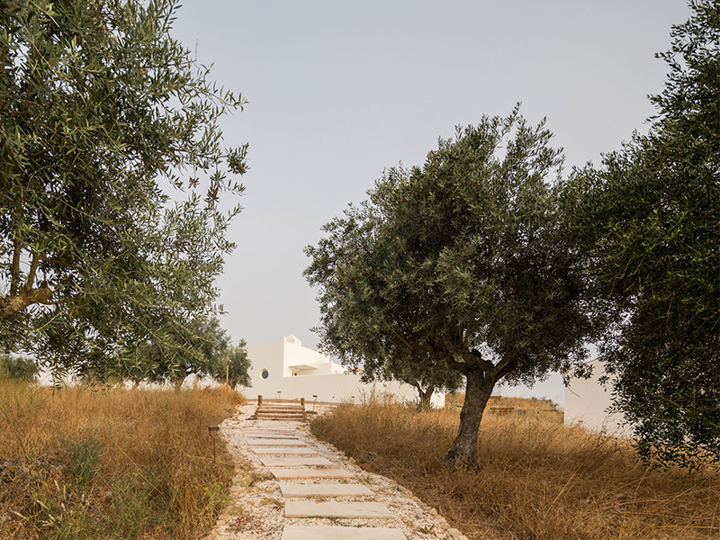 Dá Licença Boutique Hotel - Cánh đồng đơn sơ miền quê Alentejo