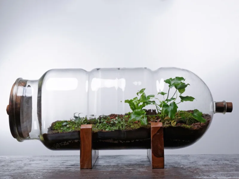 Florariums: Vườn ươm thu nhỏ của artKRAFT
