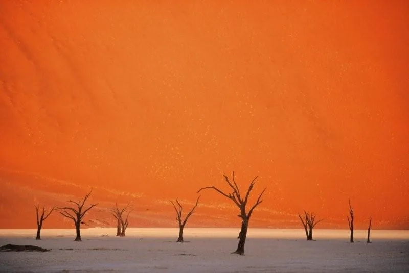 scenery thiet ke boi canh Tarsem Singh Lee Pace Catinca Untaru