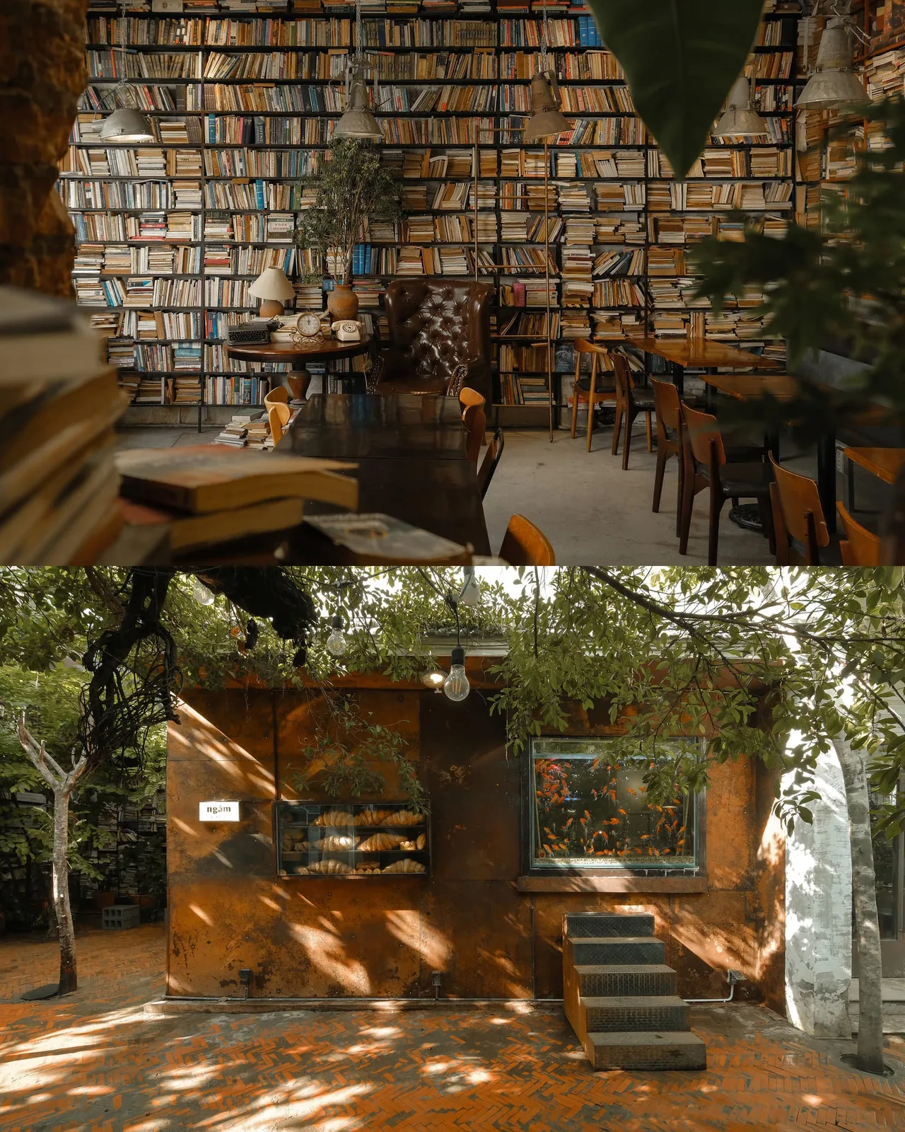 ngam cafe sach thu vien